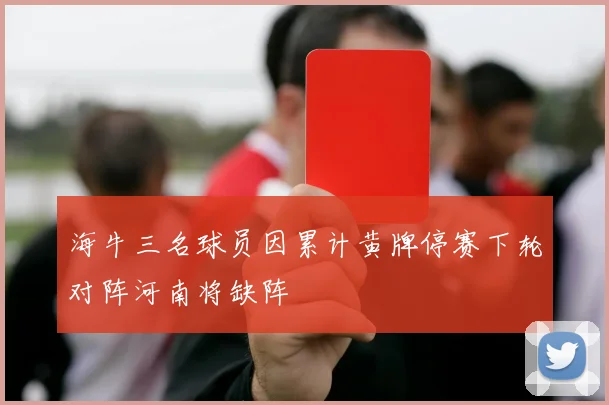 海牛三名球员因累计黄牌停赛下轮对阵河南将缺阵