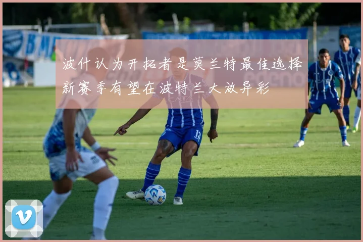 波什认为开拓者是莫兰特最佳选择新赛季有望在波特兰大放异彩